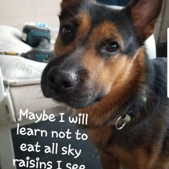 Live Pop Up Show Notification Flyerβ€οΈ - Picture 11 of 11